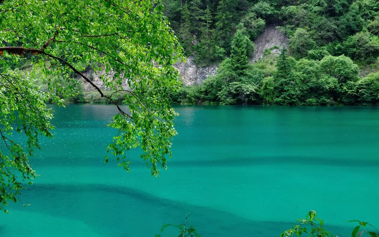 高性能可靠性